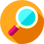 magnifier